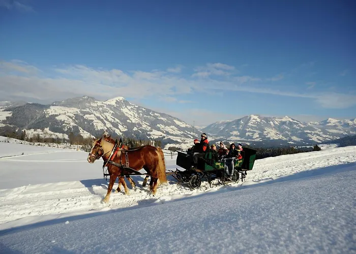 Wonderful In With Parking Lägenhet