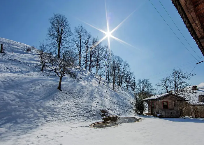 Wonderful In With Parking Lägenhet *