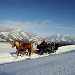 Wonderful In With Parking Appartement