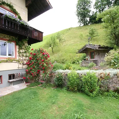Appartement Wonderful In With Parking