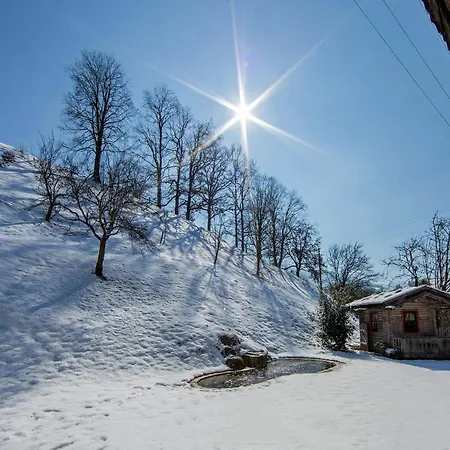 Wonderful In With Parking Appartement *